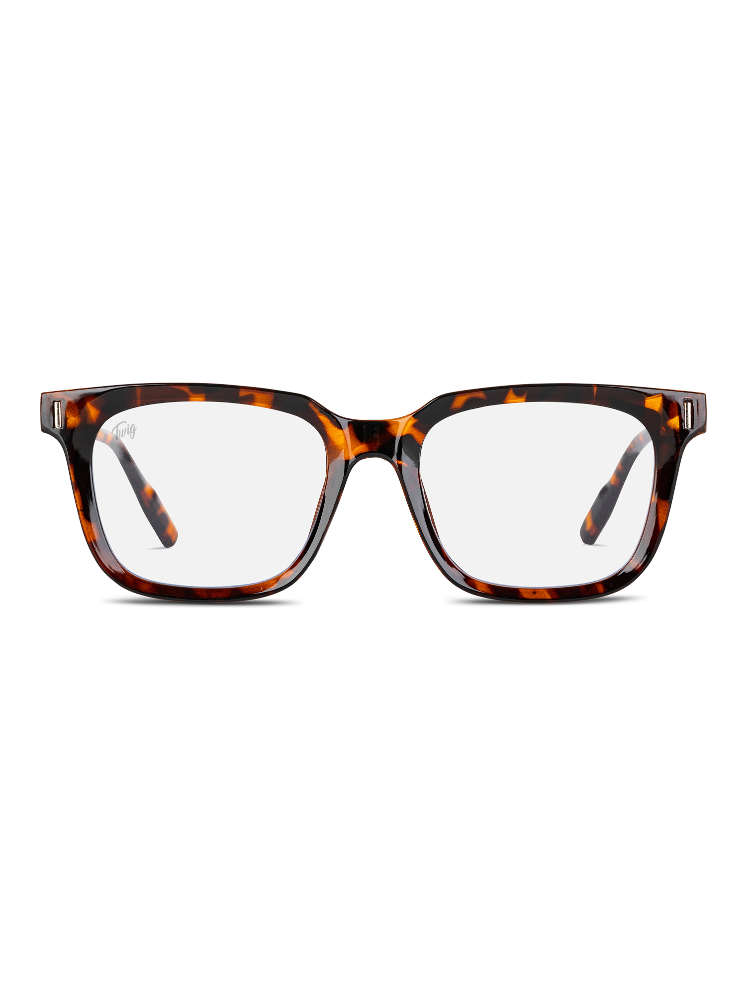 Twig Concept In Style Occhiali Recensioni Sunglasses Twig Twig