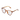 JOYOUS TORTOISE